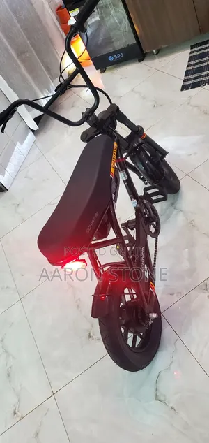 Schwinn Hurricane Compact Electric Bike