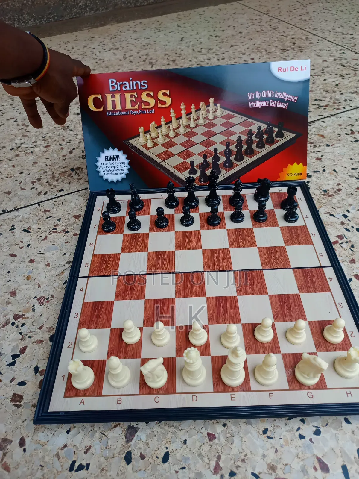 Brains Magnetic Chess Set.