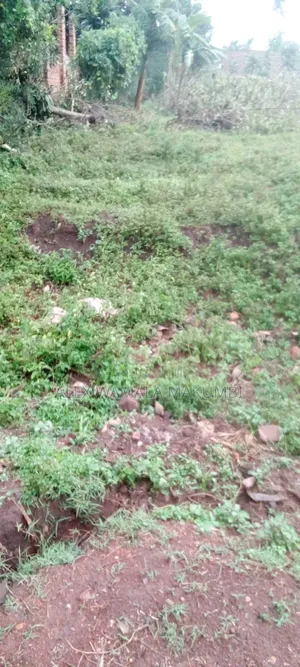 Plot on Sale