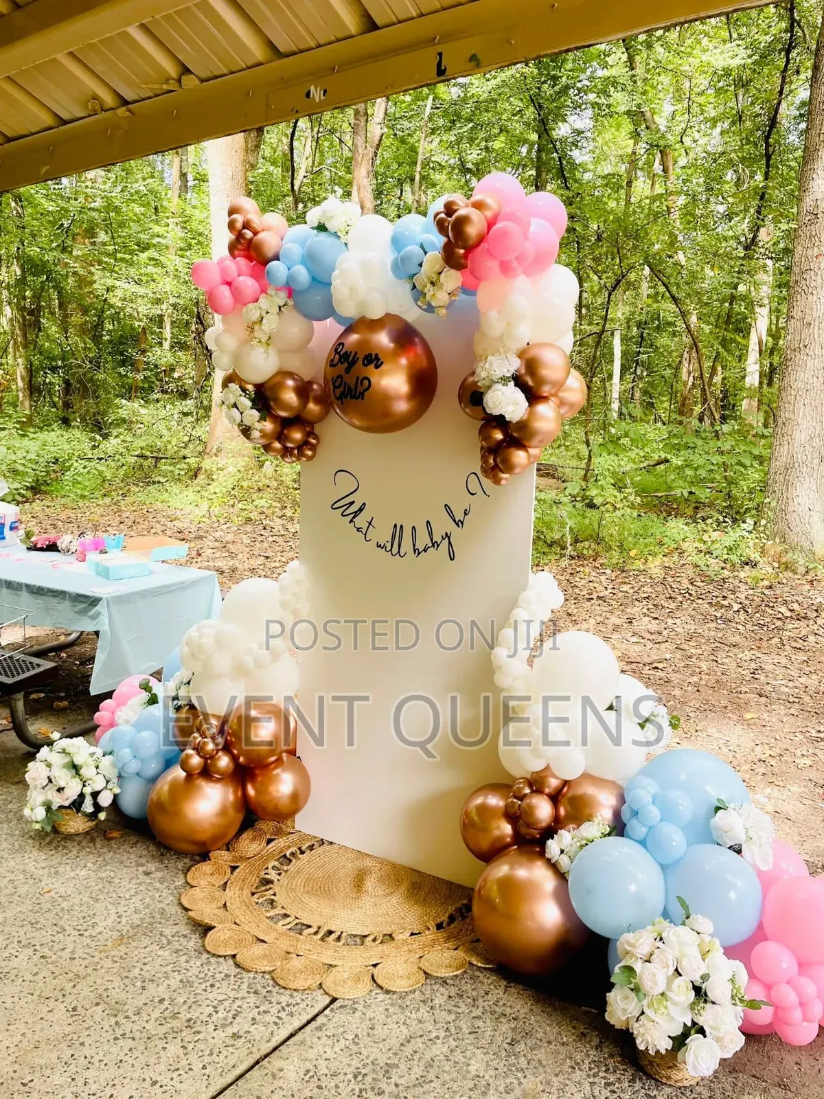 Gender Reveal Backdrop and Birthday Photo Booth