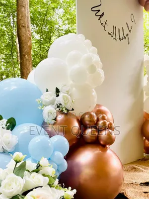 Gender Reveal Backdrop and Birthday Photo Booth