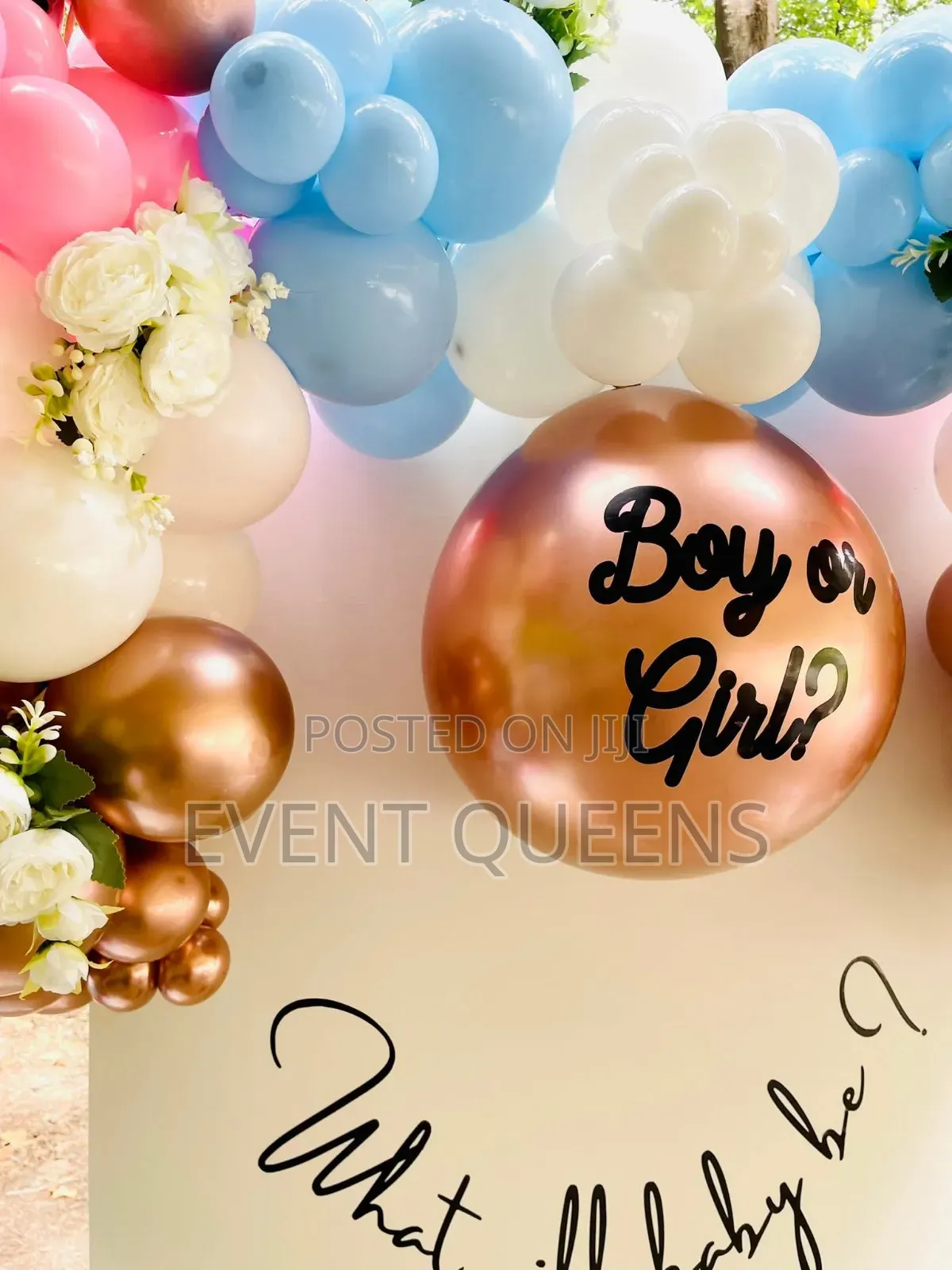Gender Reveal Backdrop and Birthday Photo Booth