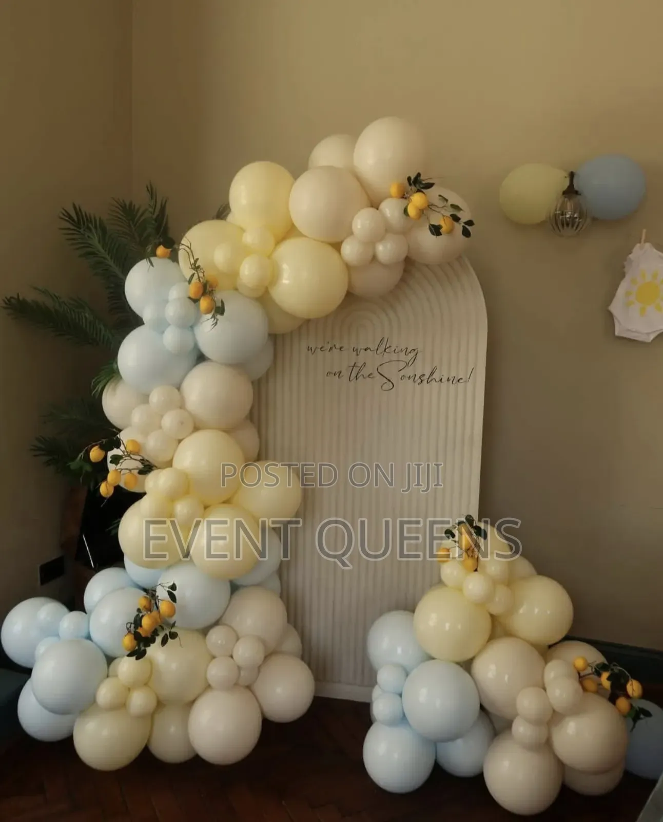 Gender Reveal Backdrop and Birthday Photo Booth