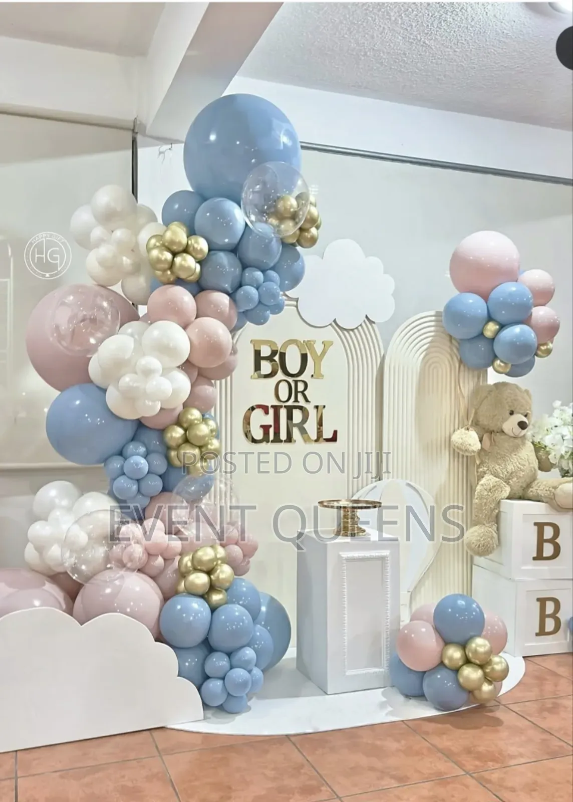 Gender Reveal Backdrop and Birthday Photo Booth