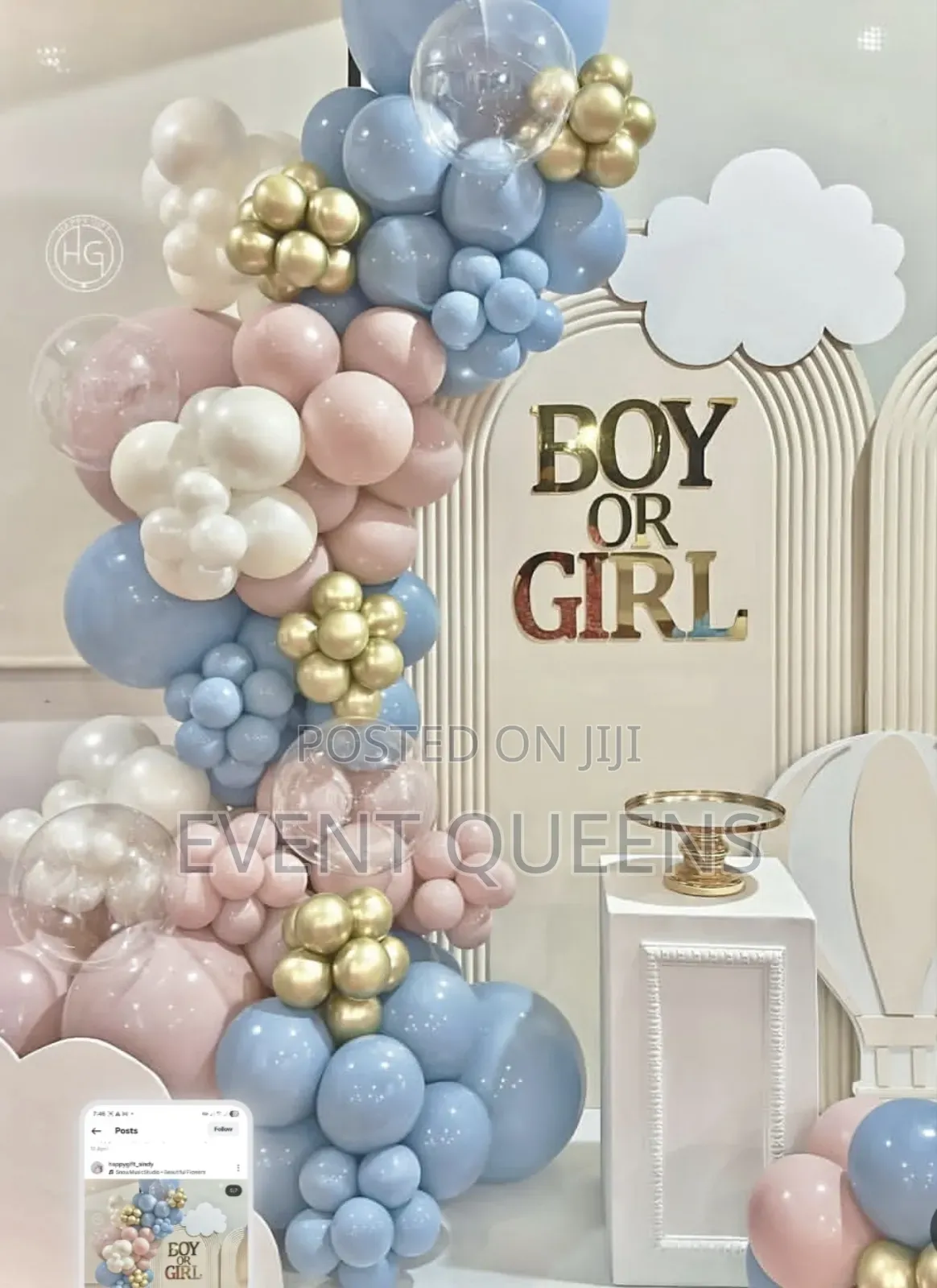 Gender Reveal Backdrop and Birthday Photo Booth