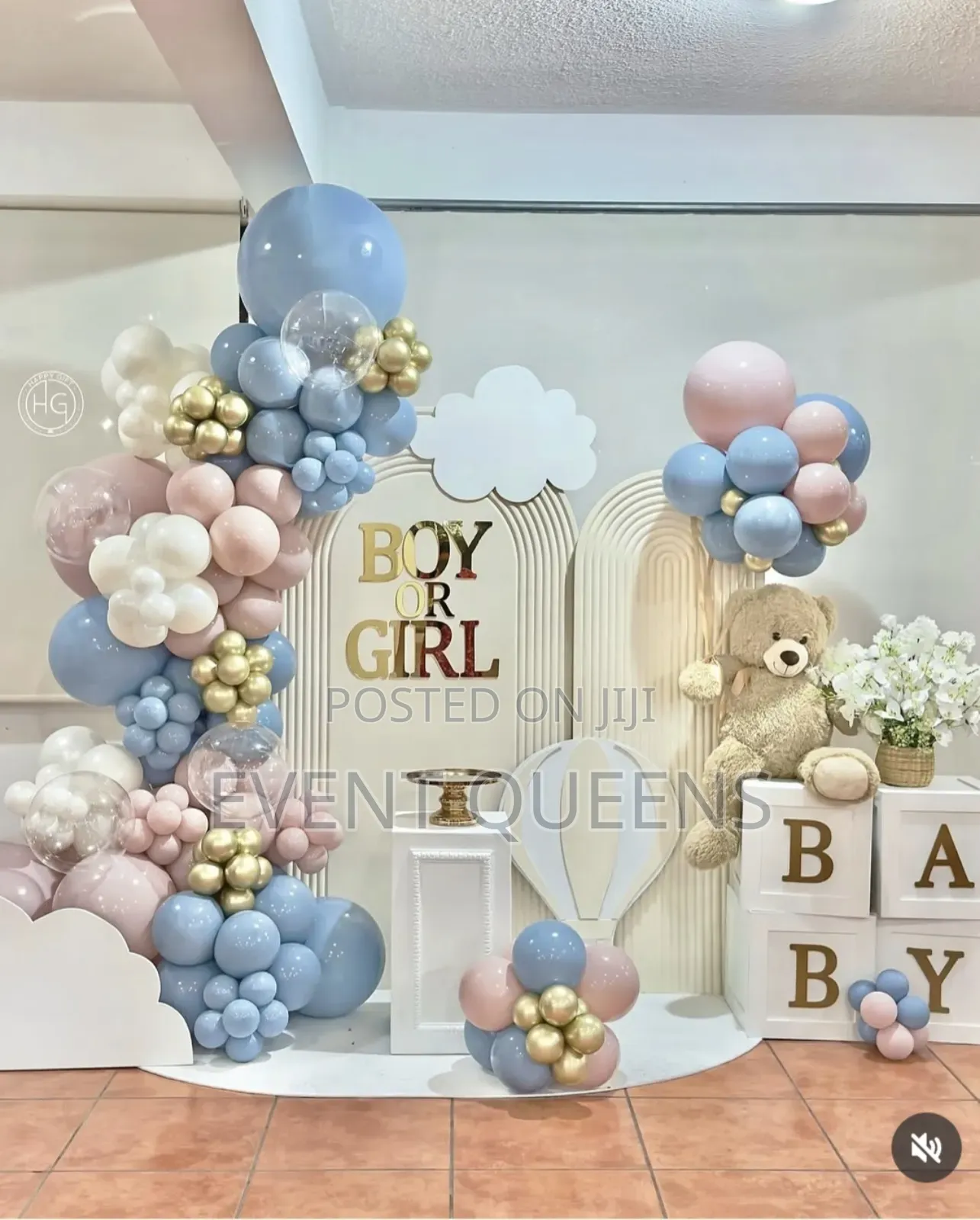 Gender Reveal Backdrop and Birthday Photo Booth