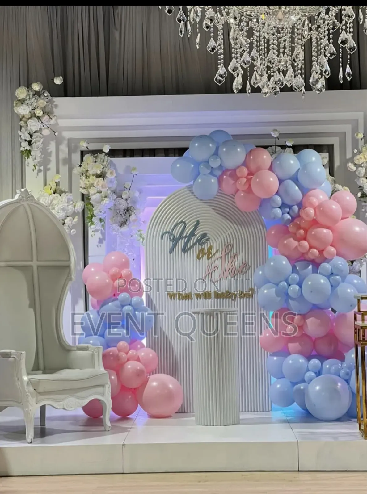 Gender Reveal Backdrop and Birthday Photo Booth
