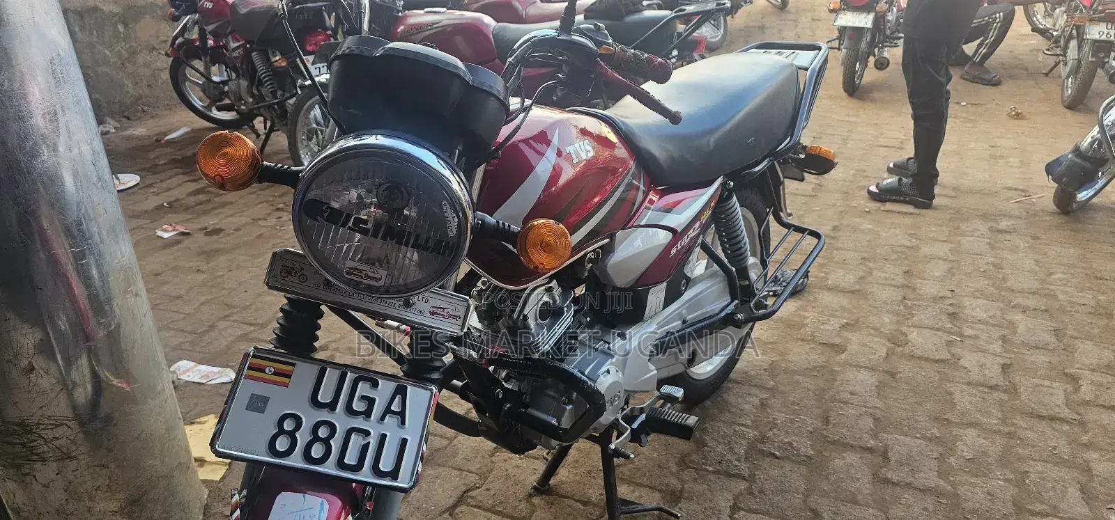 TVS HLX 125 2024 Red