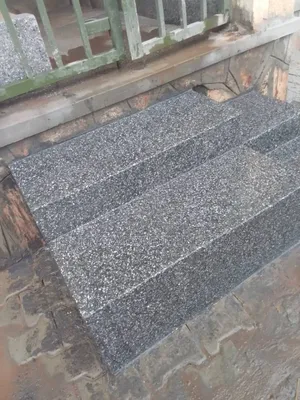 Terrazo Steps305
