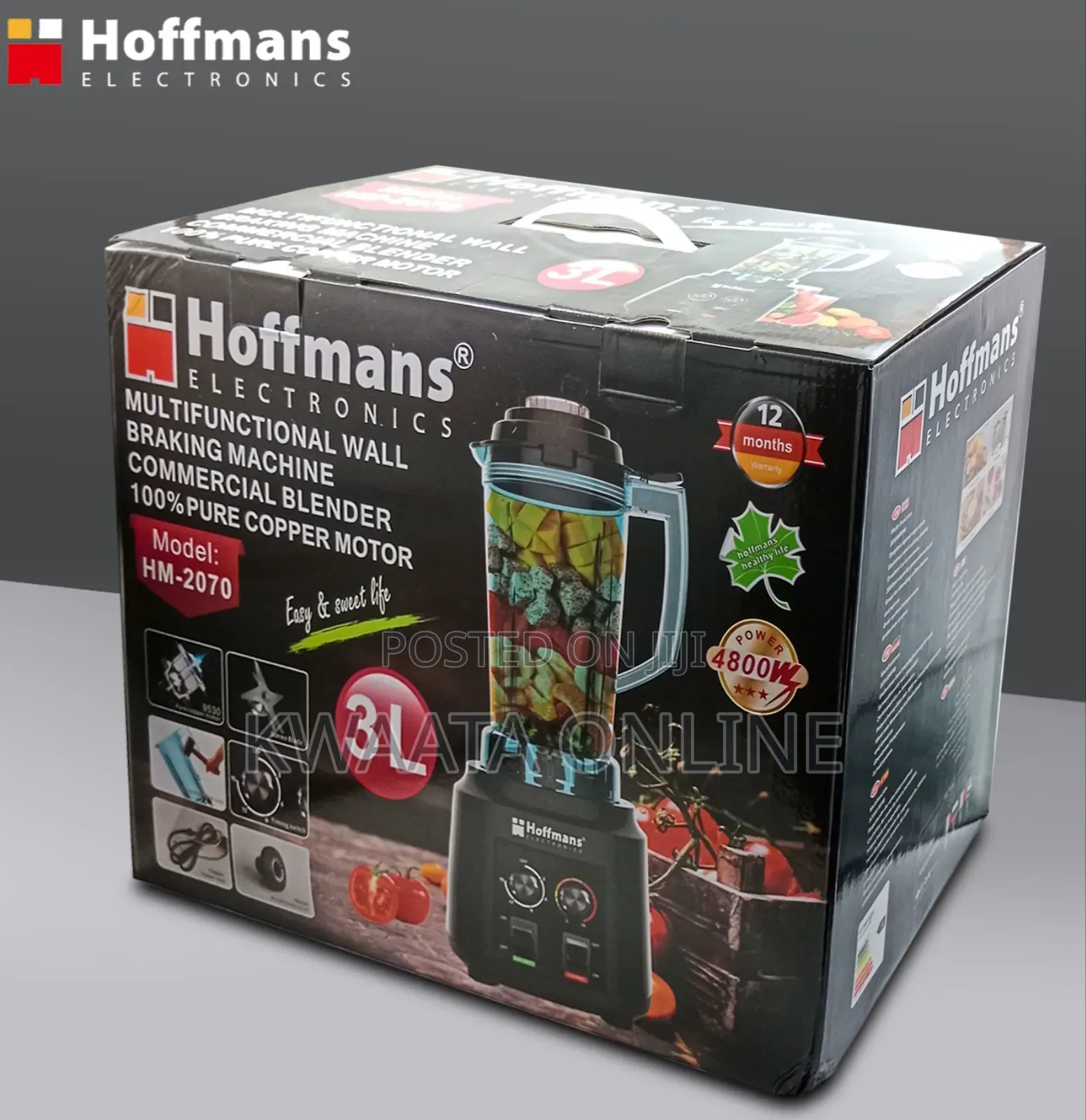 3l Hoffmans Multifunctional Wall Breaking Blender 4800w Hm - 2070
