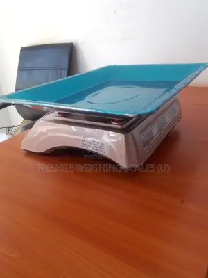 Digital 60 Kg Kitchen Food Weighing Scale Tabletop Weighing Scale