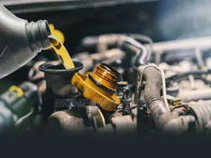Oil Change and Filter Replacements