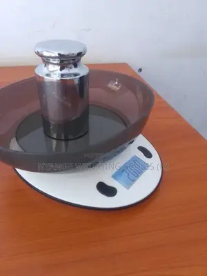 Digital Weighing Scale Catering Weigh Scale Digital Weighing Scales
