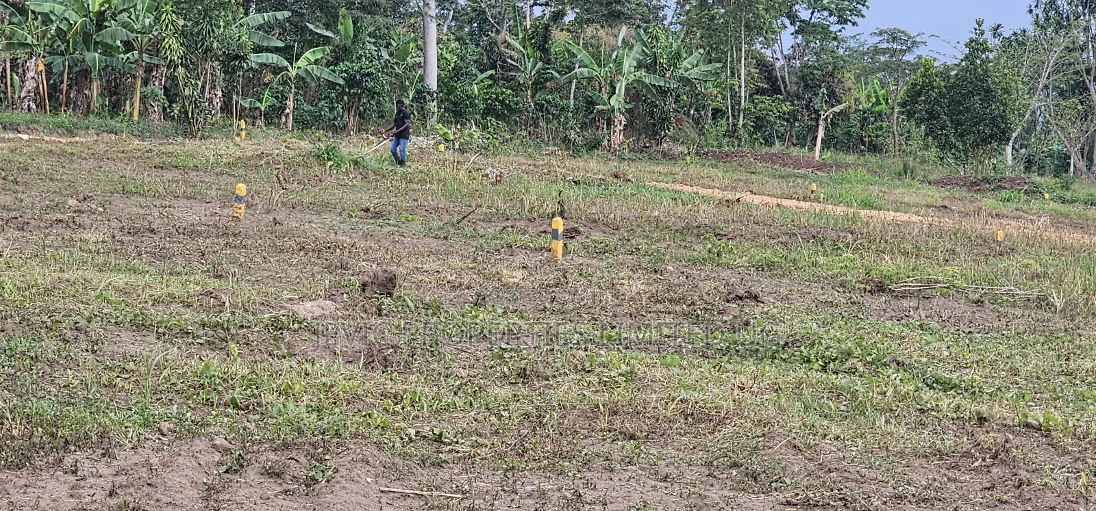Titled Hot Plots on Sale -Namayumba Hoima Road