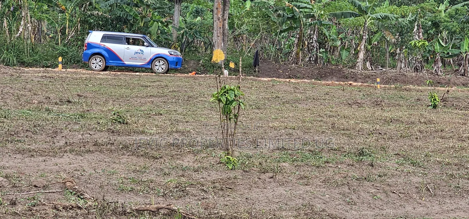 Titled Hot Plots on Sale -Namayumba Hoima Road