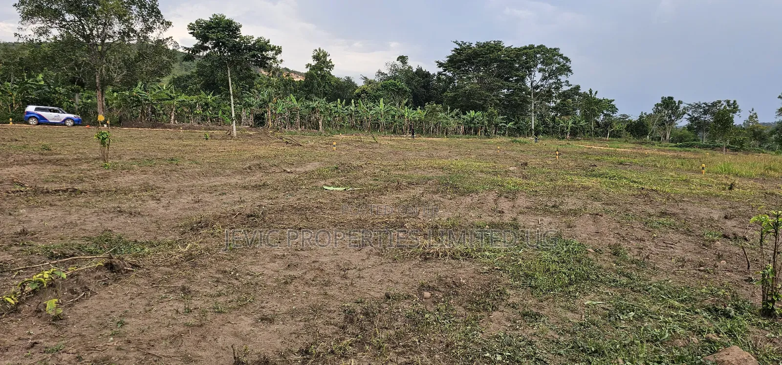 Titled Hot Plots on Sale -Namayumba Hoima Road