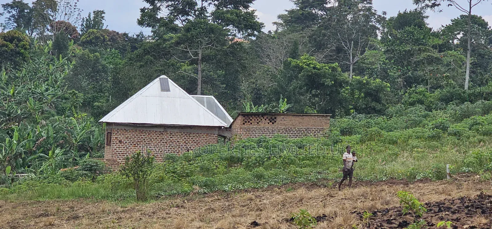 Residential Titled Plot for Quick Sale-Wakiso Gobero