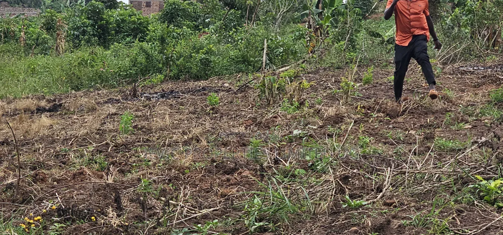 Residential Titled Plot for Quick Sale-Wakiso Gobero