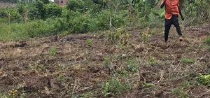 Residential Titled Plot for Quick Sale-Wakiso Gobero