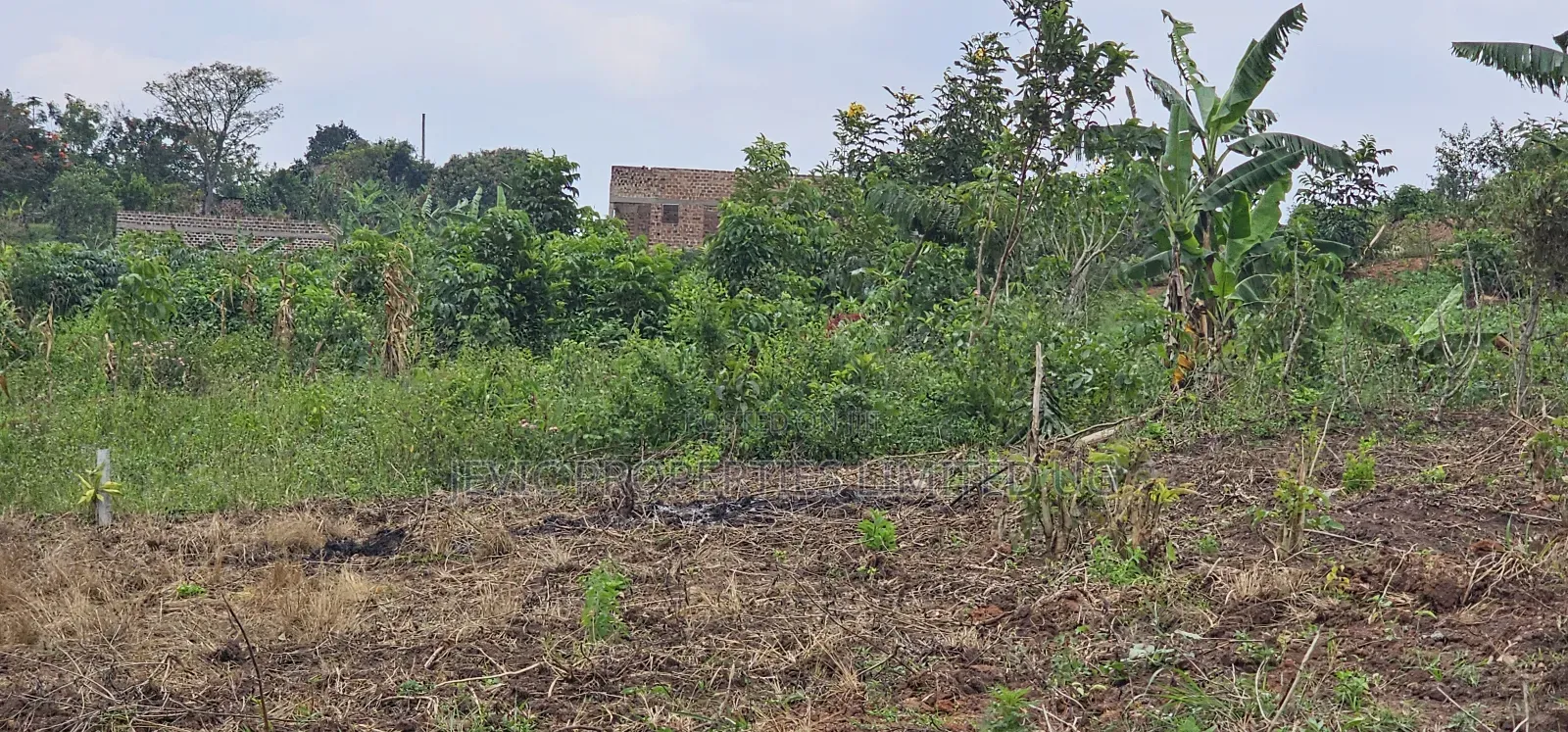 Residential Titled Plot for Quick Sale-Wakiso Gobero