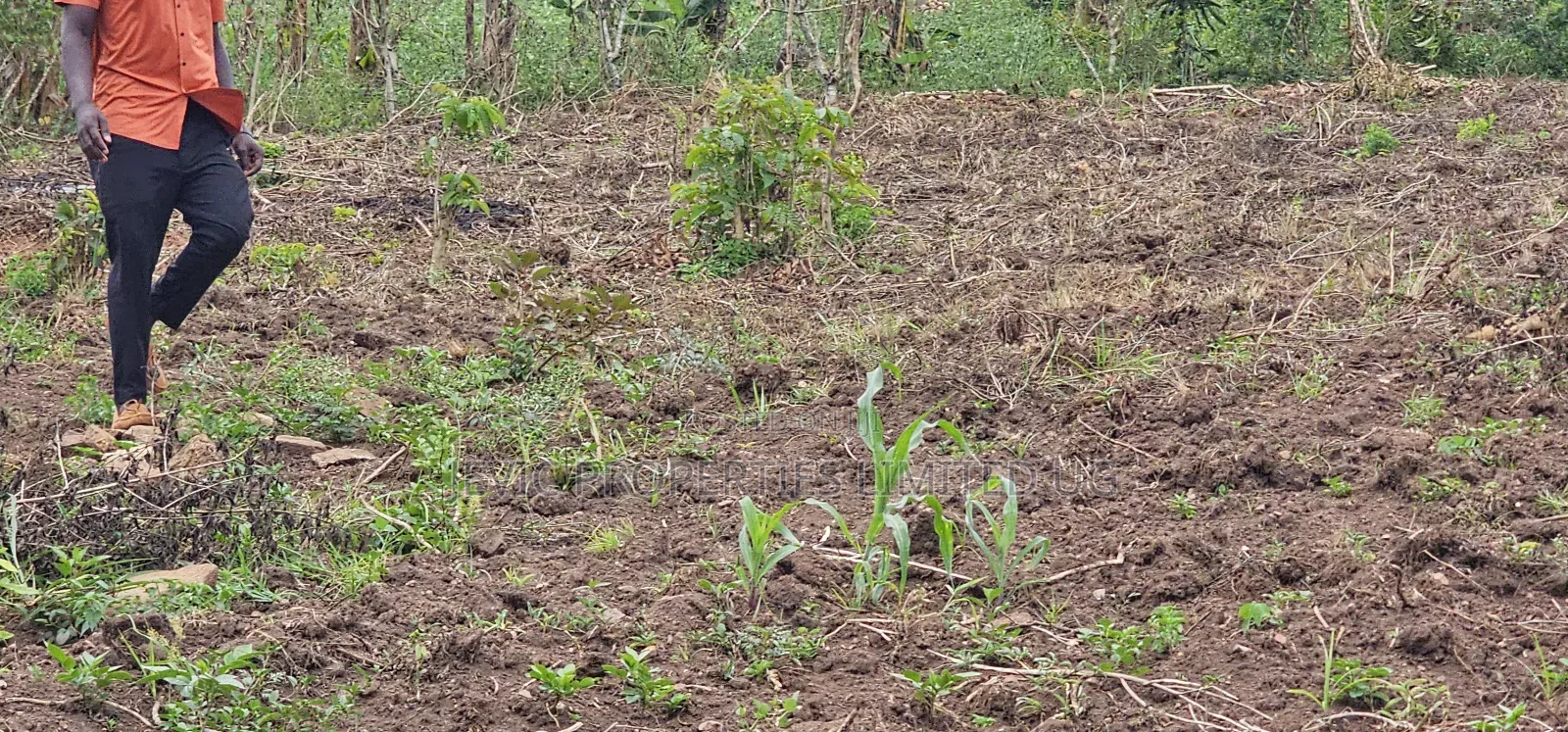 Residential Titled Plot for Quick Sale-Wakiso Gobero