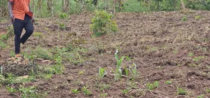 Residential Titled Plot for Quick Sale-Wakiso Gobero