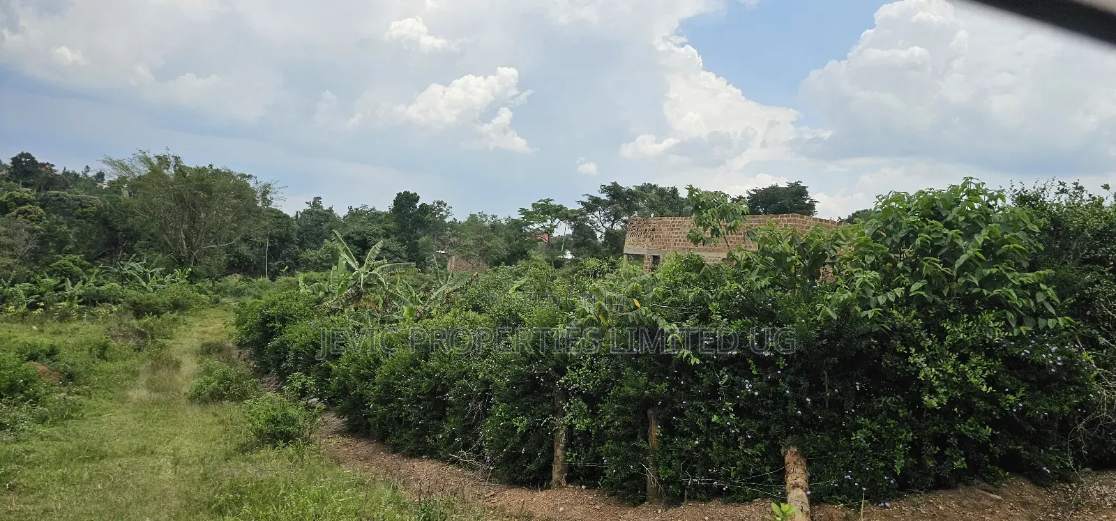 Residential Titled Plot for Quick Sale-Wakiso Gobero
