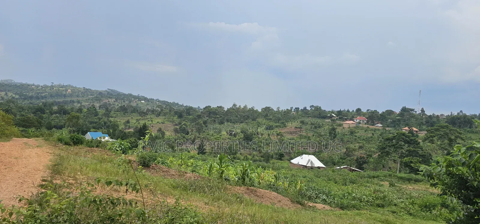 Residential Titled Plot for Quick Sale-Wakiso Gobero