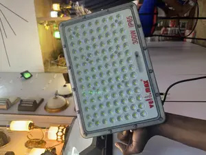 Solar Flood Light