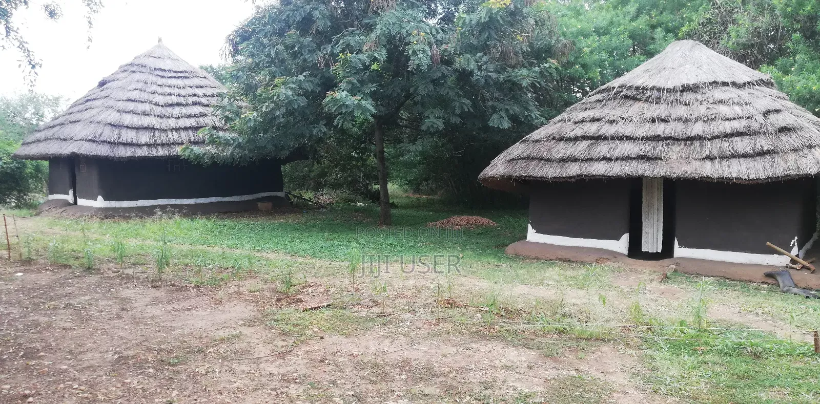 For Sale: Safari Lodge in Murchison, Close to the Oil Refinery, Bulisa