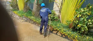 Paver Cleaning, Cleaning Your Outdoor Spaces Inside and Out.
