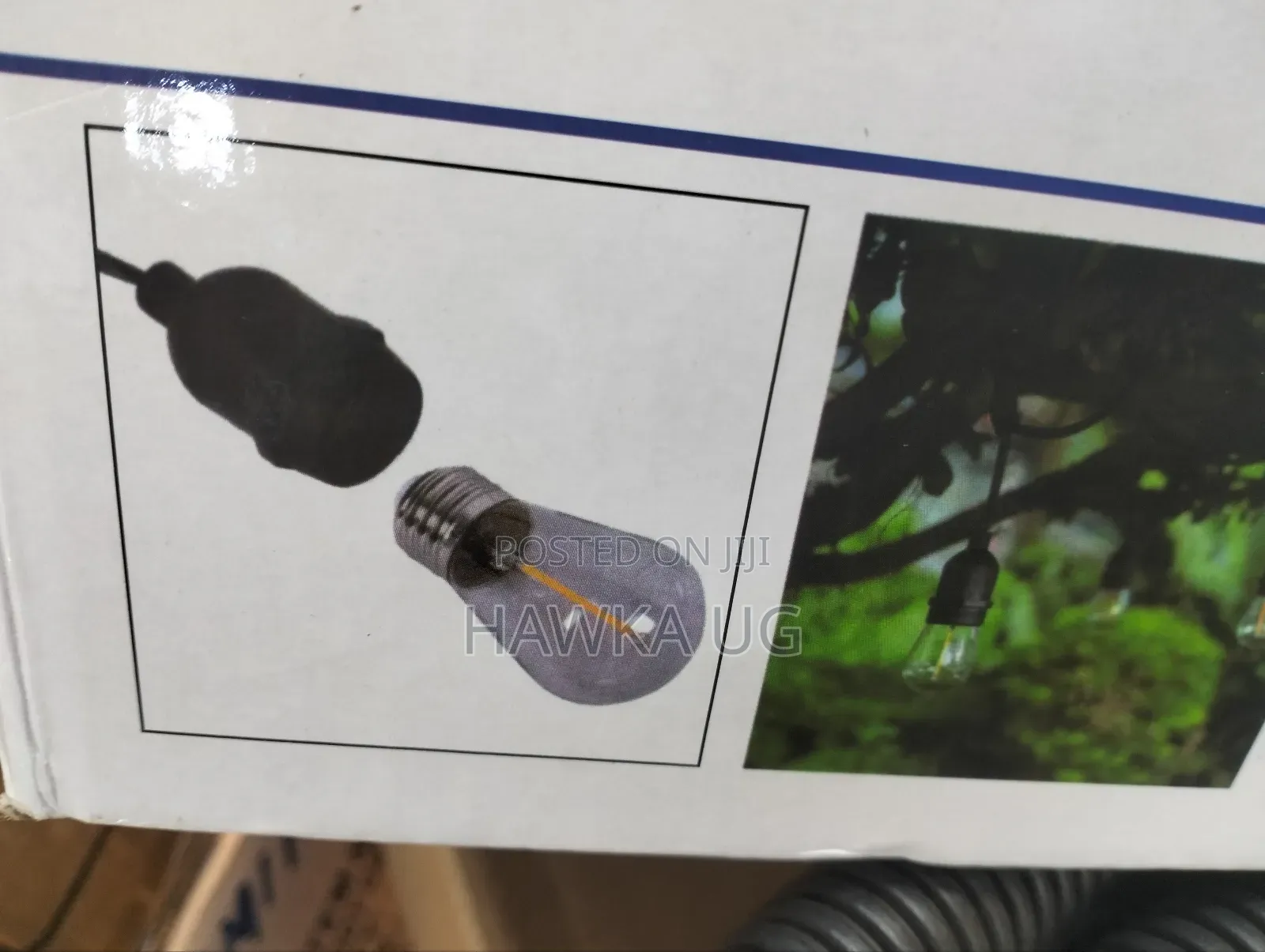 String Light Set With Eu Plug