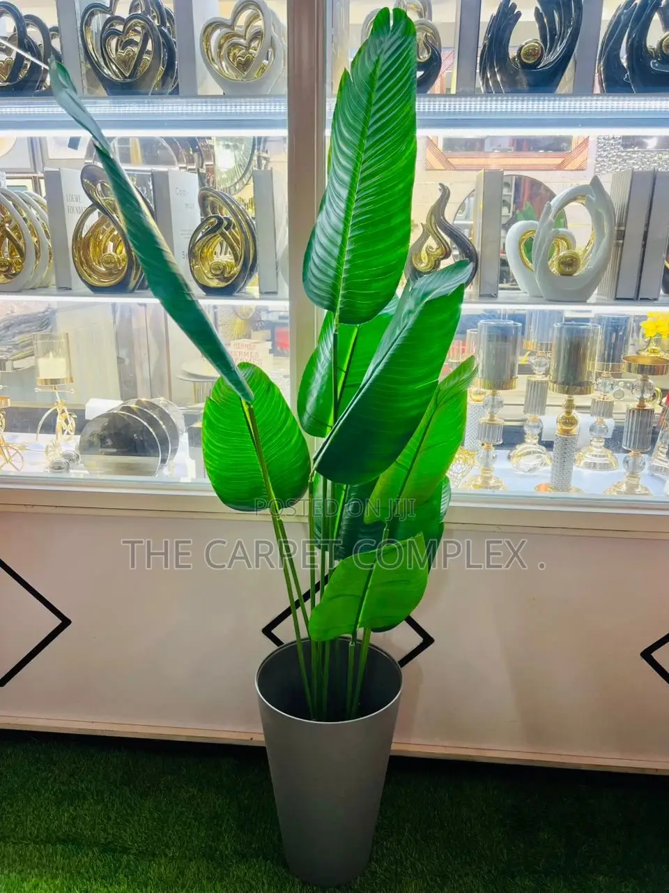 Home Plants Each