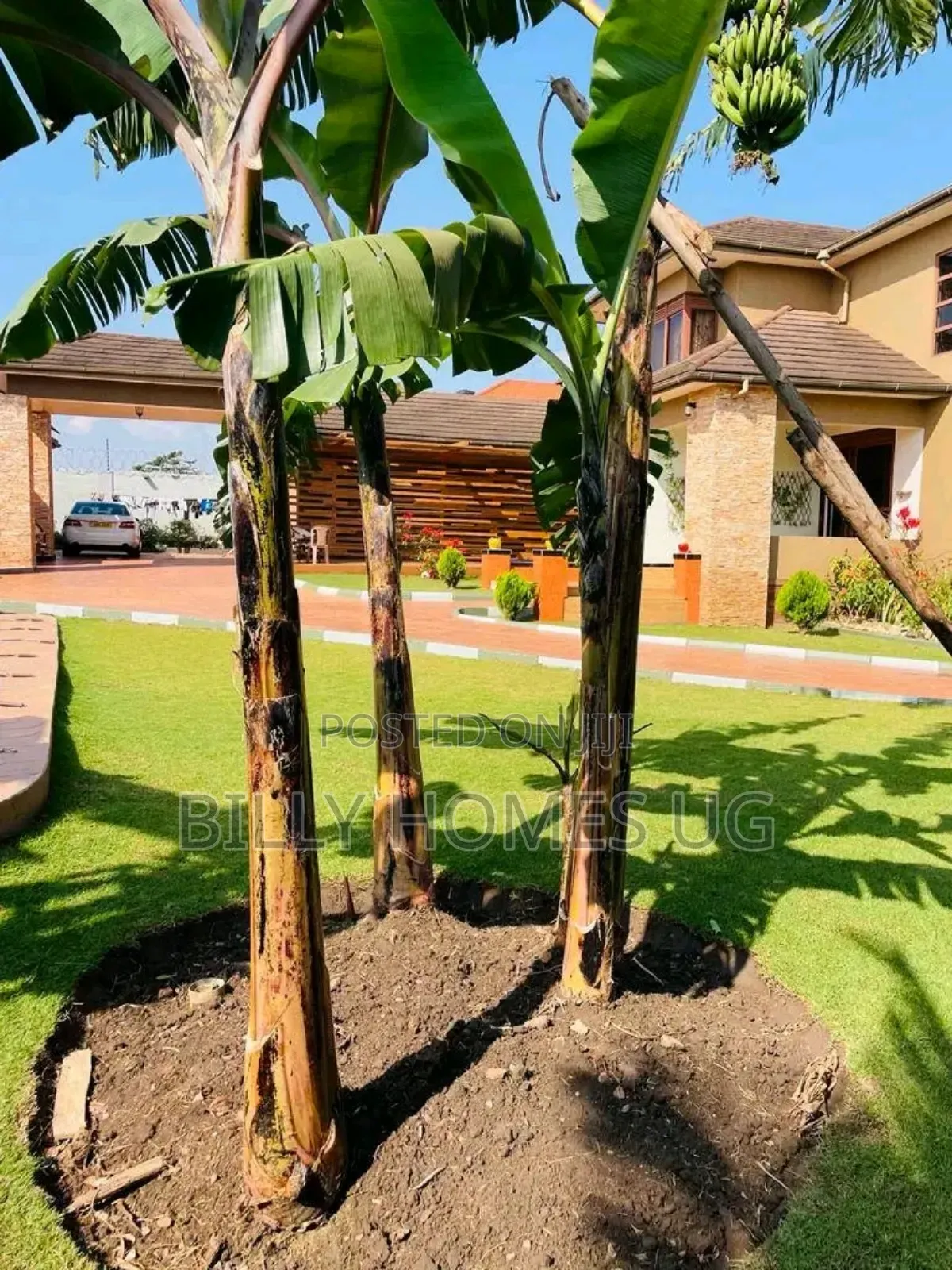 6bdrm Mansion in Kira for sale