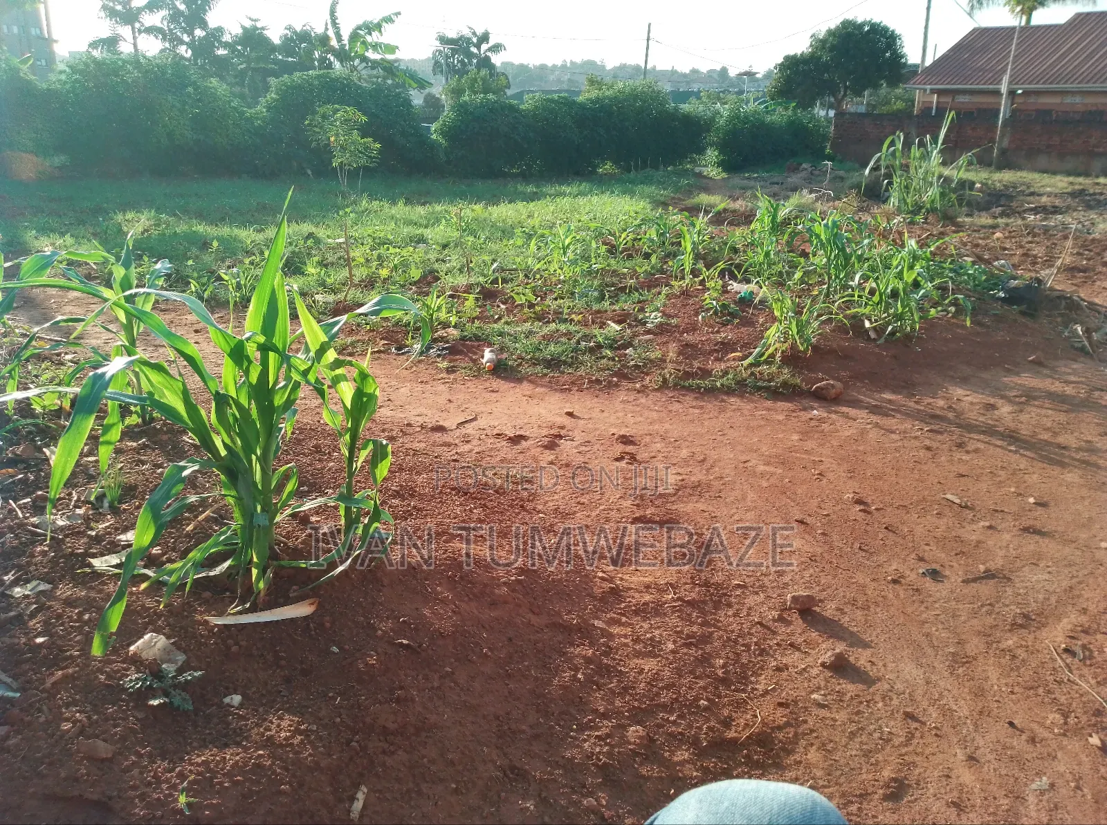 Commercial Plot for Sale in Bweyogerere