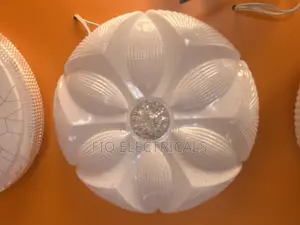 Ceiling Light