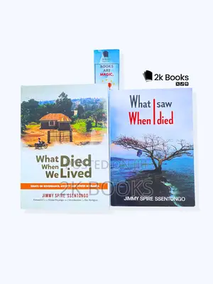 What I Saw When I Died by Dr Jimmy Spire (Original)