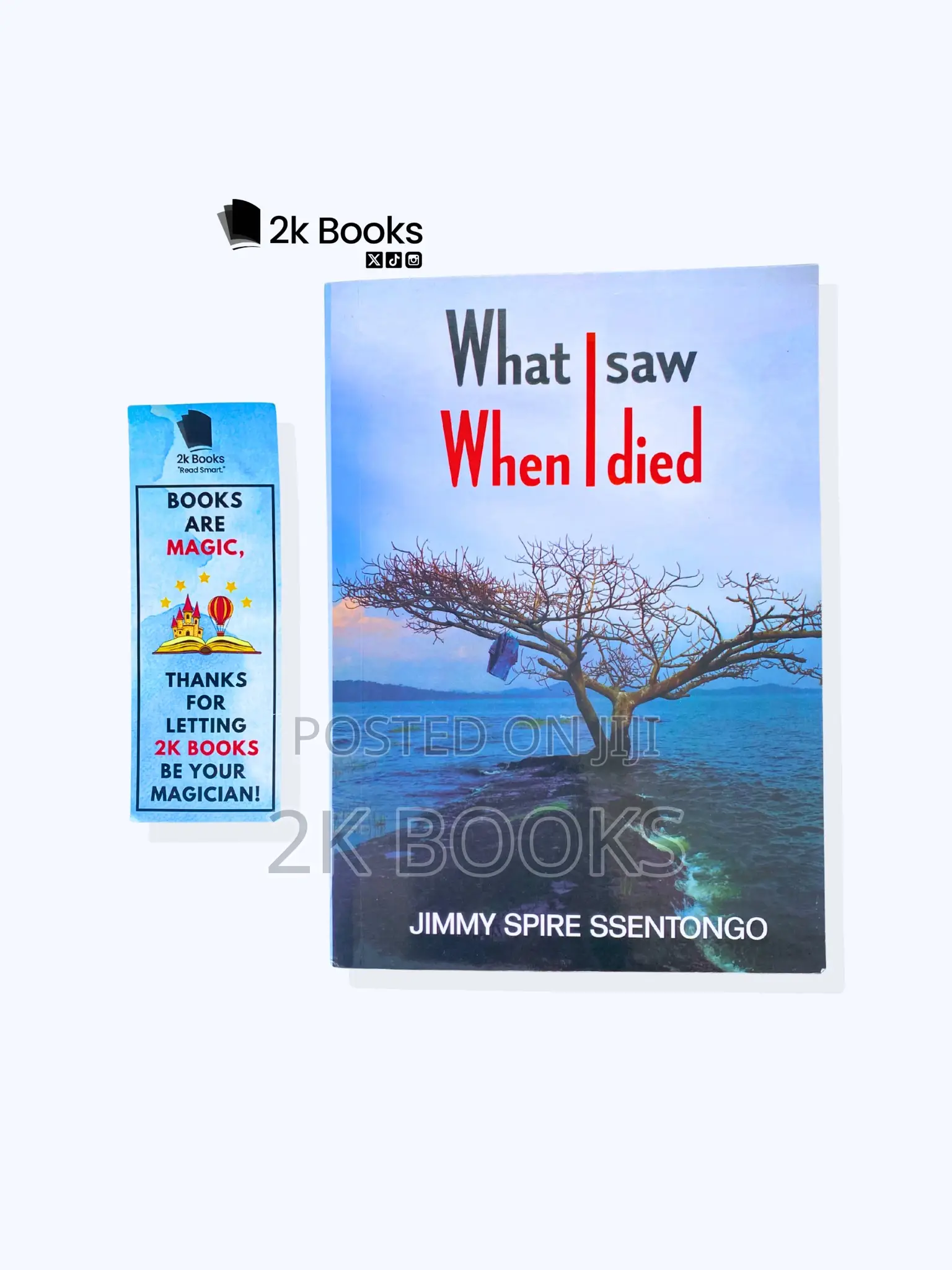 What I Saw When I Died by Dr Jimmy Spire (Original)