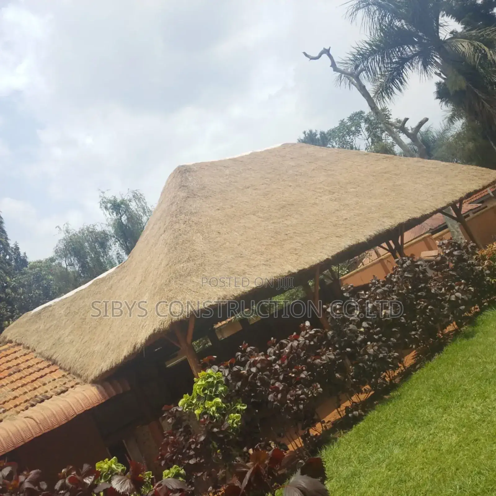 Grass Roofing Services