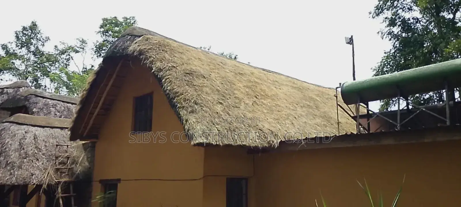 Grass Roofing Services