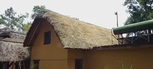 Grass Roofing Services