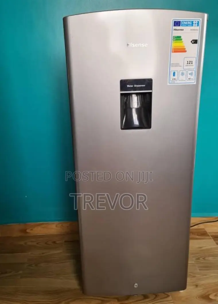 Hisense 229 Liter Single-Door Refrigerator With a Water Dispenser.