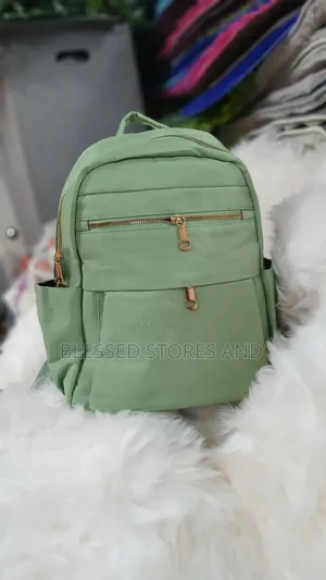 Classy Back Bags