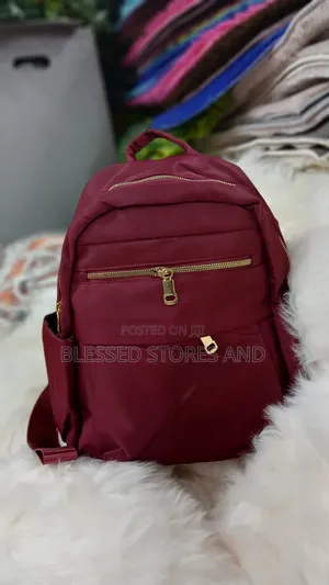 Classy Back Bags