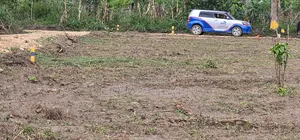 20 Titled 50×100 Plots on Big Sale -Namayumba