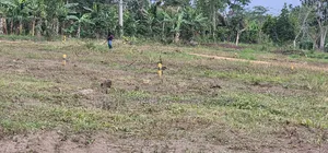 20 Titled 50×100 Plots on Big Sale -Namayumba