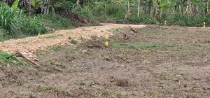 20 Titled 50×100 Plots on Big Sale -Namayumba