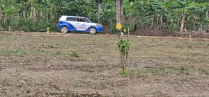 20 Titled 50×100 Plots on Big Sale -Namayumba