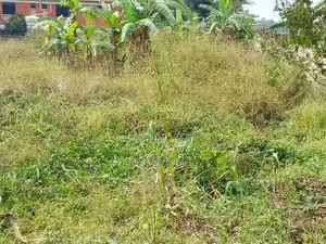 Muyenga 50 Decimals Sale