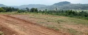 Prime Plots For Sale At Katende~Bumme Hill View Land Estate.